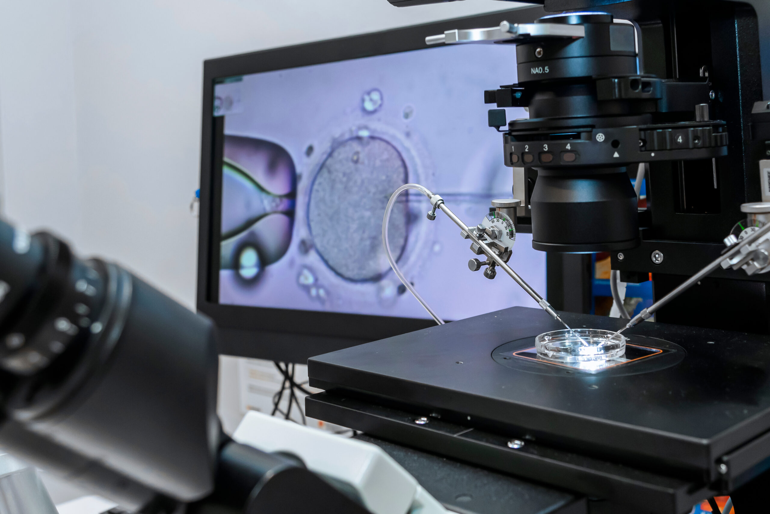 メインビジュアル画像01